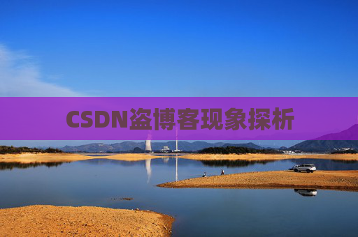 CSDN盗博客现象探析